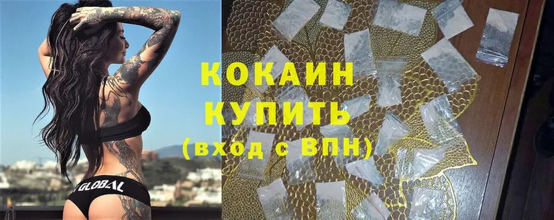 COCAIN Fish Scale  где купить наркоту  Новоаннинский 